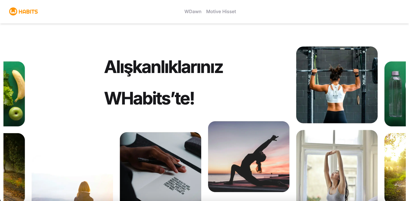 Preview image "showcasing our designed project"
